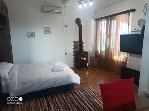 Bazaleti Field House - Veltaurtkari