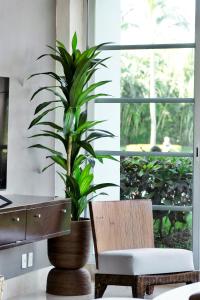 Departamento Seibal Nuevo Vallarta Acceso Vidanta