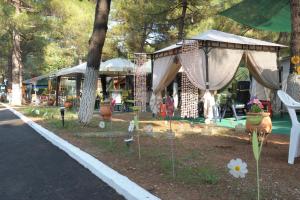 Olympos Beach Olympos Greece