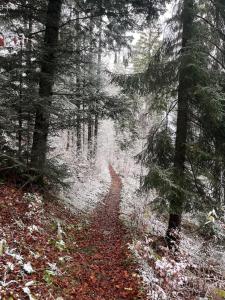 Appartements Mountain Apartment in Premanon : photos des chambres