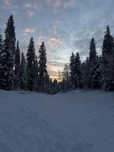 Mountain Apartment in Prémanon