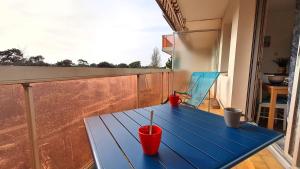 Appartements Vaux sur Mer - EMPLACEMENT de CHOIX - APPARTEMENT - PLAGE de NAUZAN : Studio