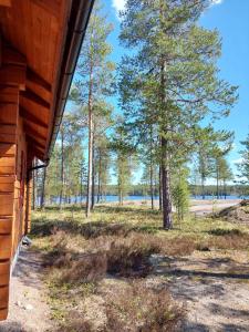 The cabin by the river