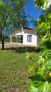 Parras del Abuelo 2, nuevo