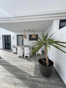 Villa Margherita by Casa Naturaleza