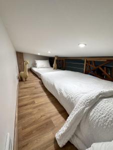 Appartements L'Opale - Le Jungle : photos des chambres