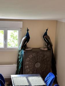 Appartements L'Opale - Le Jungle : Appartement Familial 1 Chambre