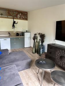 Appartements L'Opale - Le Jungle : photos des chambres