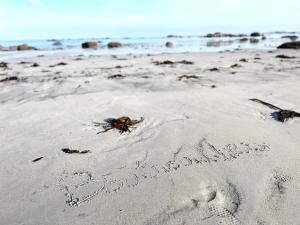 Maisons de vacances Maison Maillots et Bigorneaux, 15 pers, jacuzzi, 40m de la mer : photos des chambres