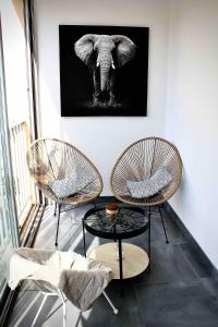 Appartements Pied-a-terre - Apartment 75m2 - free parking : photos des chambres