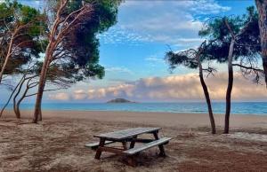 Sea Breeze Home img39