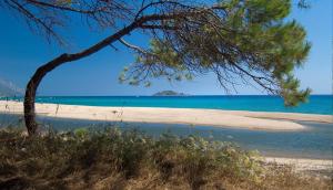 Sea Breeze Home
