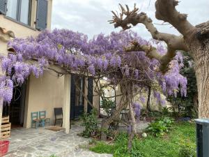 Maisons de vacances les glycines : photos des chambres