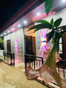 Nethuli Inn Ella