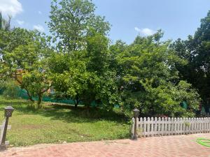 The White House Retreat Poolvilla