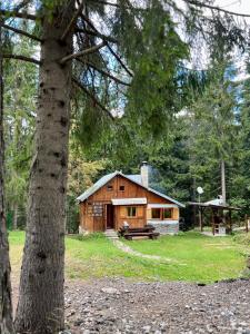 Вила Рози, Семково