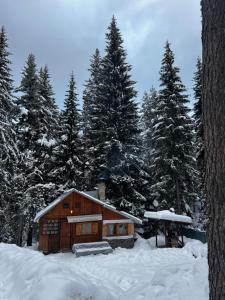 Вила Рози, Семково