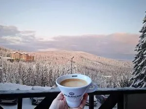 Апартамент А101 хотел Снежанка - Sokolovtsi