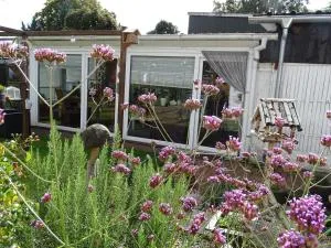 B&B Piccardie - Hoogstede