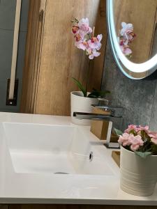 Plumbird Boutique & Apartment