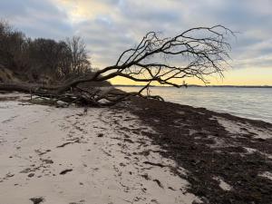 Ferienwohnung an der Ostsee Nähe Priwall