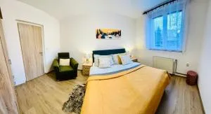 Šumava ski apartment 90minut od Prahy - Zdíkovec