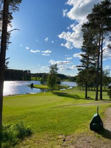 Suite Apartment with lake views
