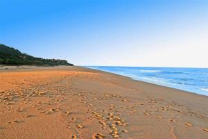 11 Sawubona Zimbali Chalets