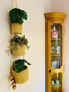 B&B / Chambres d'hotes Le Hibou Heureux : photos des chambres