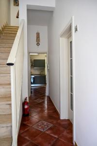 Cocciu dAmuri Netino