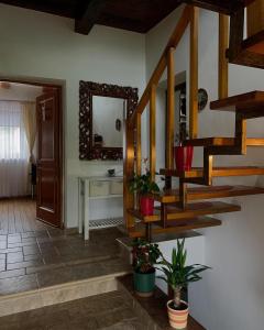 Villa Rusu