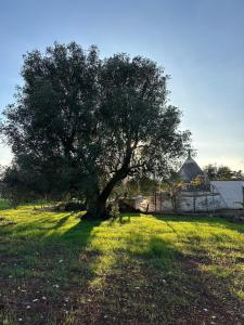 Trullo Jazzo à Ostuni