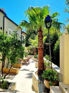 Appartements Villa Riviera : photos des chambres