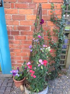 Lower Buckton Country Living Big House near Ludlow 6 bedrooms sleep 12