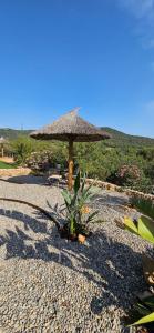 Villas Nouveau : Magnifique Villa individuelle avec piscine Rocbaron Var : photos des chambres
