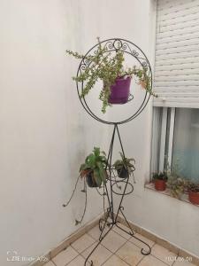 DEPTOS VM Complejo x 3