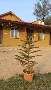 PADHAARO MAHARI JHOPADI HOTEL And RESORT