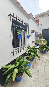 Casa de la Abuela Rosario