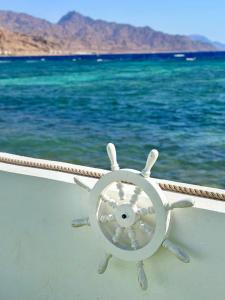 ايارنوب - iaru nub