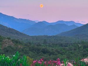 Appartements Residence Cismonte : Appartement Supérieur 2 Chambres 