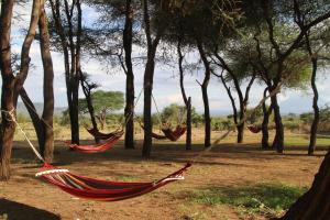 Kili View Maasai Lodge
