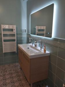 Villas Maison Bourgeoise classee 3 etoiles a 100 m des Bords de Loire avec parkings prives : photos des chambres