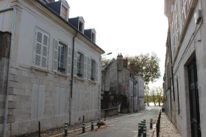 Villas Maison Bourgeoise classee 3 etoiles a 100 m des Bords de Loire avec parkings prives : photos des chambres