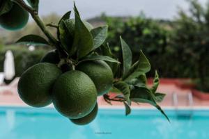 Il Casale il Sole e la Margherita