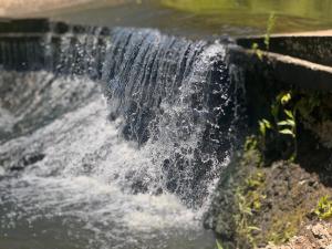 11 Sawubona Zimbali Chalets