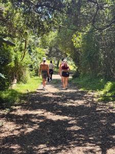 11 Sawubona Zimbali Chalets