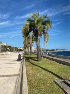 Appartement au coeur du Domaine