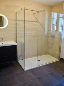 Villas Villa Primerose parking prive terrasse centre ville : photos des chambres