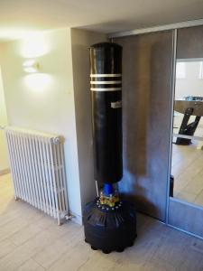 Villas Villa Primerose parking prive terrasse centre ville : photos des chambres