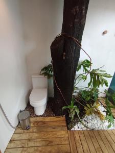 Casa Aroeira Alto Paraíso de Goiás